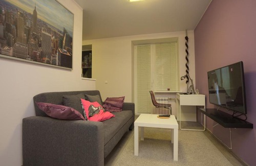 Tsentralny Apartment | Discover the Purple Gem in St. Petersburg - Rated 10/10!