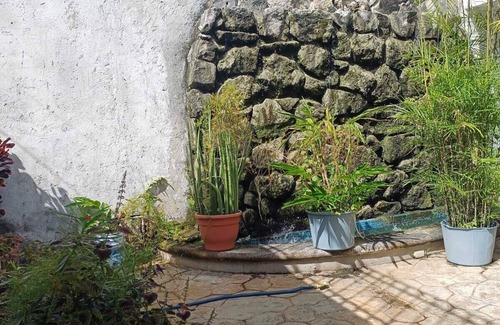 Colonia Adolfo Lopez Mateos Apartment | PURPLE LOTUS COZUMEL fibre optics WIFI, A/C Pool. Walking distance to town.