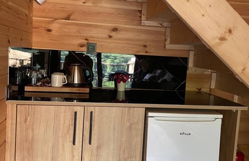 Ayder Ski Chalet | Pus-1 Dağ Evi