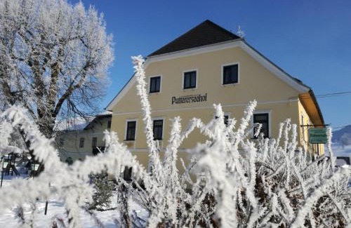 Aigen im Ennstal House | Enjoy Views and Comfort at Puttererseehof Hotel