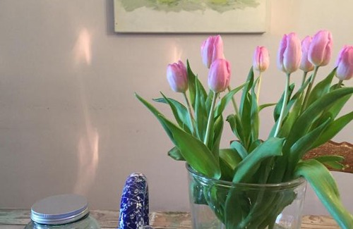 Teuven Bed & Breakfast | Discover PuurTeuven B&B: Art & Nature Retreat Await