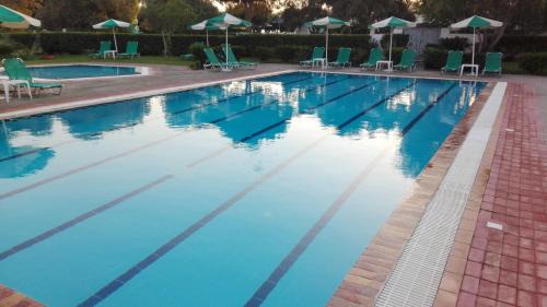 Petaloudes Hotel | Experience Pylea Beach Hotel: Oceanfront Bliss Awaits