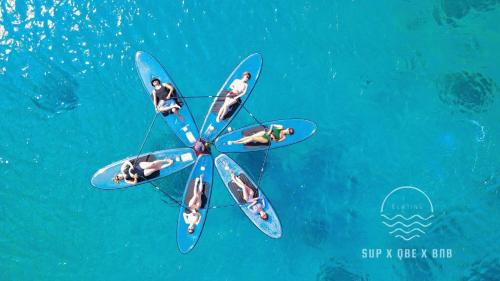 South Beach House | Top-Rated QBE B&B with Oceanfront Views and Pet-Friendly Stay