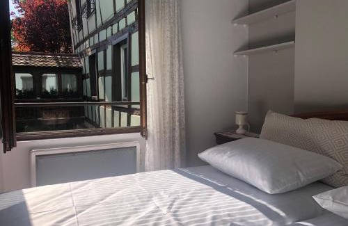 Krutenau Apartment | Idyllic Quai des Pêcheurs - Cathedral Views & Family-Friendly