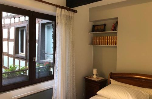 Krutenau Apartment | Idyllic Quai des Pêcheurs - Cathedral Views & Family-Friendly
