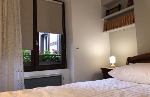 Krutenau Apartment | Idyllic Quai des Pêcheurs - Cathedral Views & Family-Friendly