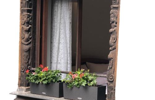 Krutenau Apartment | Idyllic Quai des Pêcheurs - Cathedral Views & Family-Friendly