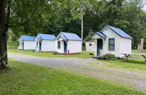 Westford Cottage | Pet-Friendly Cabin #8 with Pool and Lake Views