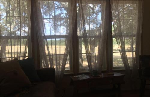 Johnson City House | Quaint Cabin in the Woods