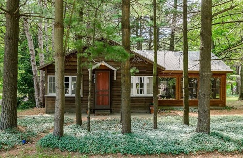 Douglas Cabin | Experience Douglas Beach: Redwoods Cabin with Ocean View