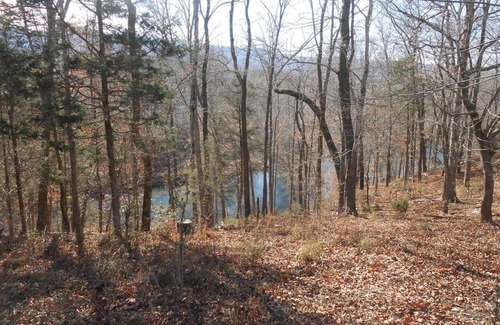 Sparta House | Pet-Friendly Coke Cabin Near Cane Creek - Rated 9/10!