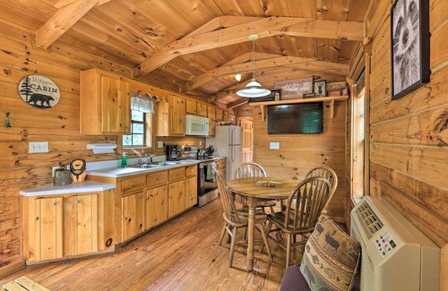 Warrensville Cabin | Cozy Log Cabin with Scenic Views Near West Jefferson