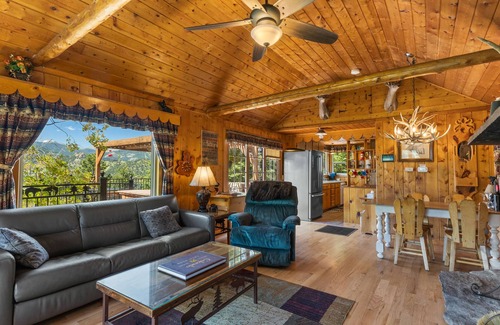 Estes Park Cabin | Charming Mountain Cabin with Ocean Views and Spa Access