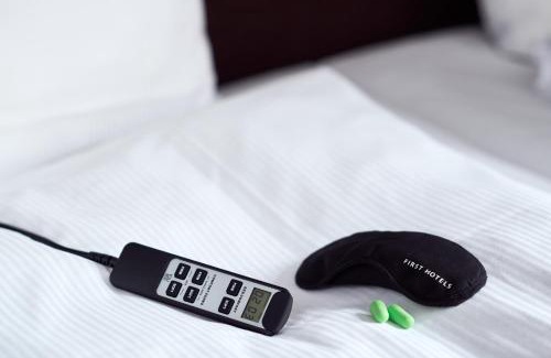 Falun Hotel | Discover First Hotel Grand Falun: Pet Friendly & Family Fun