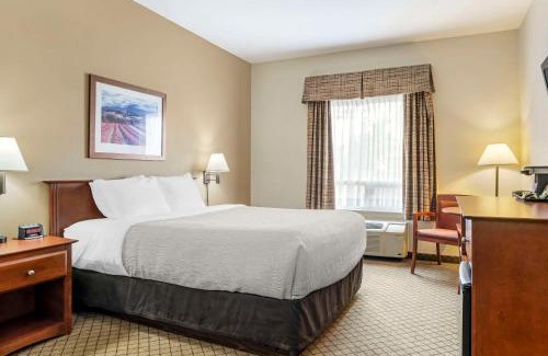 Dieppe Hotel | Quality Inn Airport: Pet-Friendly Retreat with Ocean Views