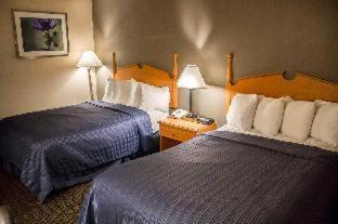Colonie Hotel | Quality Inn Central: Family-Friendly with Pool and Breakfast