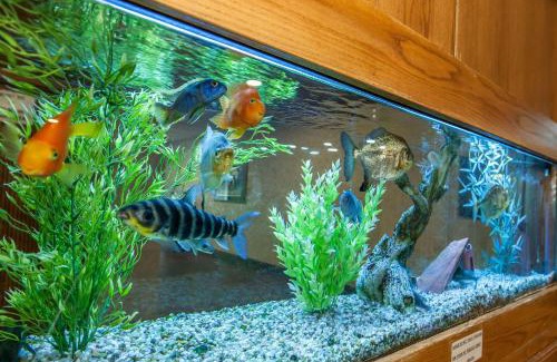Logansport Hotel | Pet-Friendly Quality Inn Conference Center in Logansport