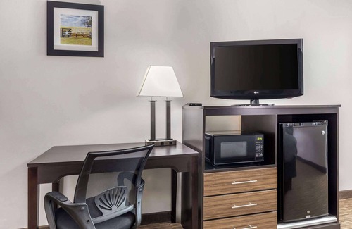 Gainesville Hotel | Budget-Friendly Quality Inn Gainesville with Pool & Restaurant