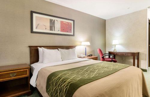 Goodland Hotel | Discover Quality Inn Goodland, KS – Pet & Child Friendly Stay