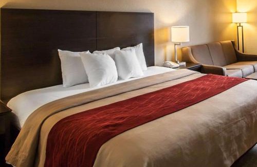 Hayti Hotel | Budget-Friendly Quality Inn Hayti North with Pool Access