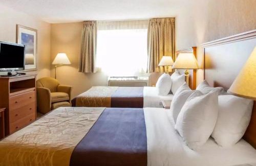 Totem Lake Hotel | Cozy Comfort Inn Kirkland: Pet-Friendly with Pool & Hot Tub