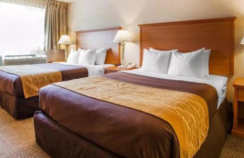 Totem Lake Hotel | Cozy Comfort Inn Kirkland: Pet-Friendly with Pool & Hot Tub