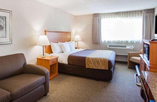 Totem Lake Hotel | Cozy Comfort Inn Kirkland: Pet-Friendly with Pool & Hot Tub