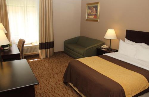 Lockport Hotel | Comfortable Quality Inn Lockport with Pet-Friendly Amenities