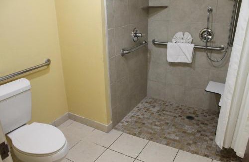 San Simeon Hotel | Comfortable Inn near Hearst Castle with Pet-Friendly Amenities