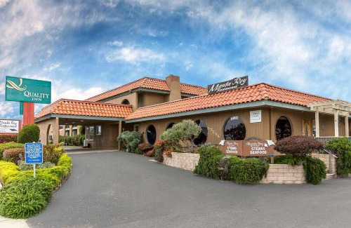 San Simeon Hotel | Comfortable Inn near Hearst Castle with Pet-Friendly Amenities