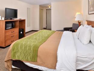 Selinsgrove Hotel | Cozy Quality Inn Selinsgrove: Pet Friendly & Oceanfront Stays