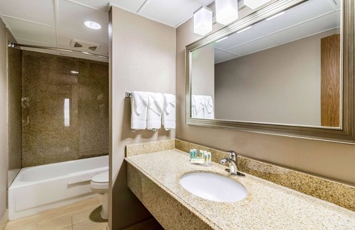 Arden Hills Hotel | Quality Inn & Suites Arden Hills - Top-Rated Family Getaway