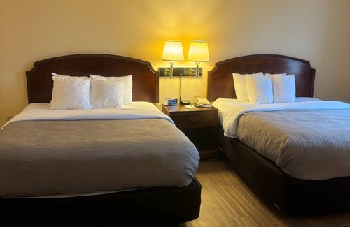 Bellville Hotel | Inviting Quality Inn & Suites Bellville - Mansfield Awaits You