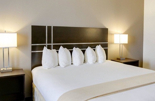 Bryan Hotel | Discover Quality Inn & Suites Bryan - Family-Friendly Retreat