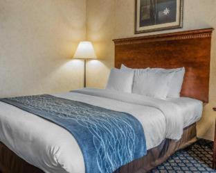 Coldwater Hotel | Pet-Friendly Quality Inn & Suites Coldwater near I-69