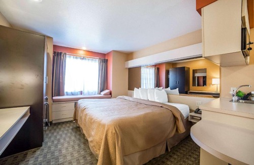 Elko Hotel | Budget-Friendly Stay at Quality Inn & Suites Elko, Pet Friendly
