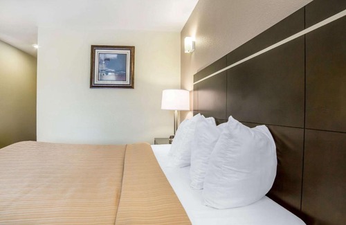 Elko Hotel | Budget-Friendly Stay at Quality Inn & Suites Elko, Pet Friendly
