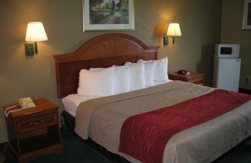 Ferdinand Hotel | Budget-Friendly Quality Inn & Suites with Pool and Dining