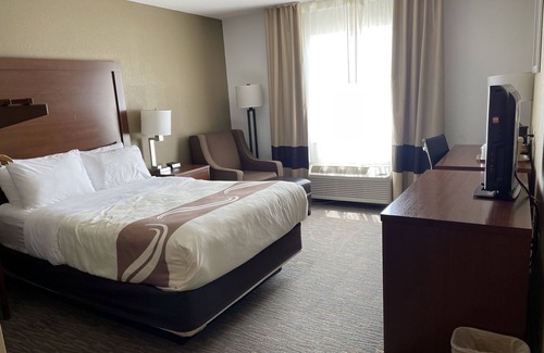 Georgetown Hotel | Discover Quality Inn & Suites Georgetown with Family-Friendly Amenities