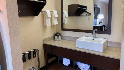 Wetmore Hotel | Comfortable Stay at Quality Inn & Suites near Fiesta Texas
