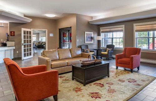Quispamsis Hotel | Discover Quality Inn & Suites Amsterdam with Pet-Friendly Perks