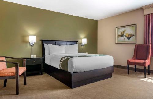 Quispamsis Hotel | Discover Quality Inn & Suites Amsterdam with Pet-Friendly Perks