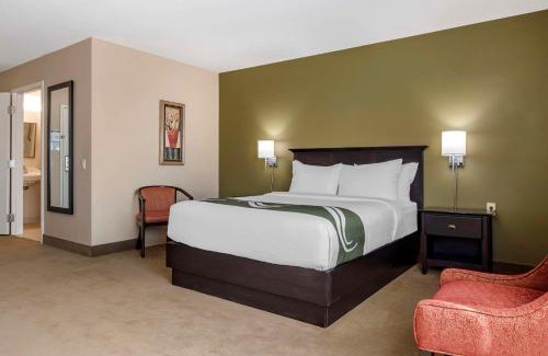 Quispamsis Hotel | Discover Quality Inn & Suites Amsterdam with Pet-Friendly Perks