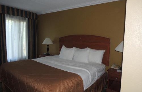 Lindbergh Lawns Hotel | Pet-Friendly Quality Inn & Suites at Syracuse Fairgrounds