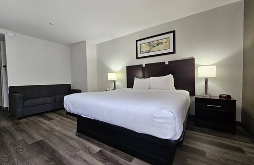 Lexington Hotel | Discover Quality Inn & Suites: Family-Friendly Amenities Await