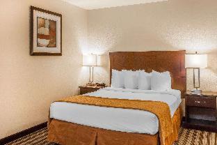 Hazel Dell South Hotel | Pet-Friendly Quality Inn & Suites with Oceanfront Views