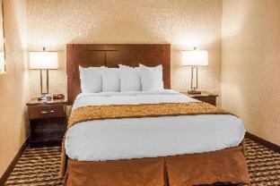 Hazel Dell South Hotel | Pet-Friendly Quality Inn & Suites with Oceanfront Views