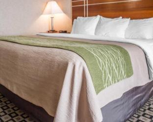Clarion Hotel | Quality Inn: Pet-Friendly Retreat with Pool Access