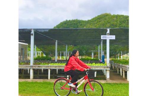 Huai Sat Yai Other | Cozy Getaway at Quality Time Farmstay: Bamboo House