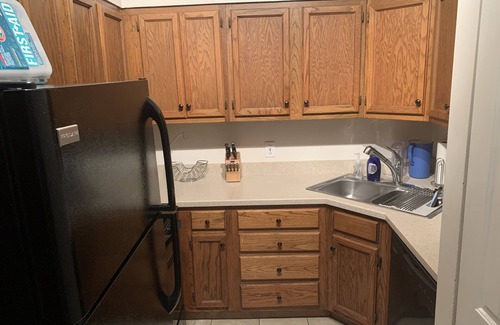 Near Southside Apartment | Charming Quant Apartment in Historic St. Louis Soulard